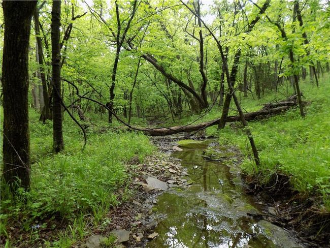 1267 Rock Creek Rd, Home with 0 bedrooms, 0 bathrooms and null parking in Williamsburg KS | Image 10