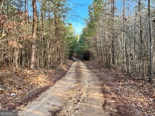 0 Hollyhock Ln, Home with 0 bedrooms, 0 bathrooms and null parking in Rock Spring GA | Image 10