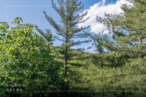 Lot 82 Fishing Village Ln, Cullowhee, NC, 28723 | Card Image