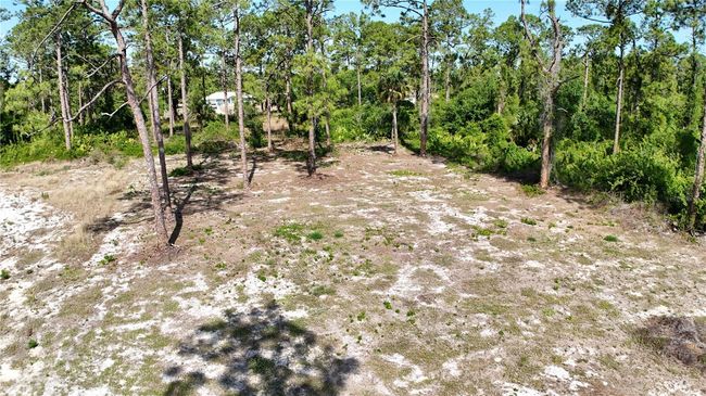 2005 Columbus Ave, Home with 0 bedrooms, 0 bathrooms and null parking in ALVA FL | Image 8