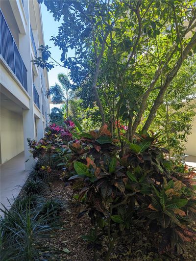 Tropical lush garden walking to private entrance | Image 3