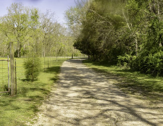 1657 Terrapin Branch Rd, House other with 3 bedrooms, 2 bathrooms and null parking in Mount Pleasant TN | Image 32