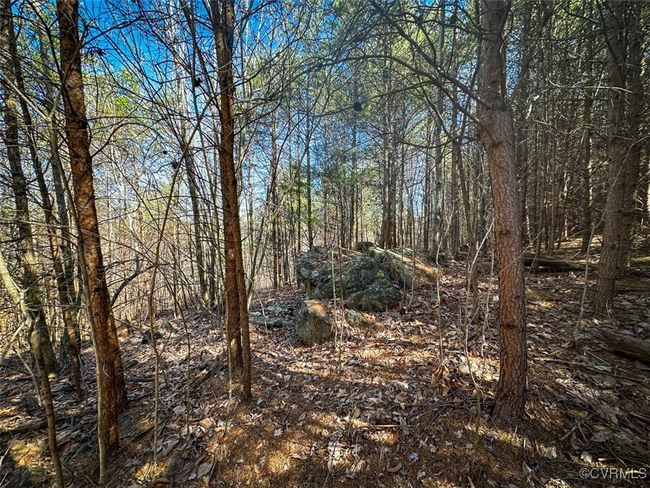 30.19 Acres (Off Of) Belvedere Dr, Home with 0 bedrooms, 0 bathrooms and null parking in Fieldale VA | Image 16