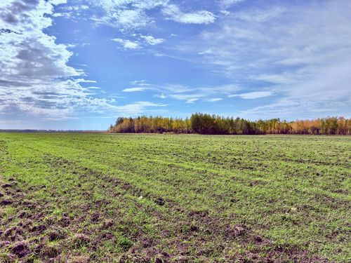 TBD 13th Ave Sw, Baudette, MN, 56623 | Card Image