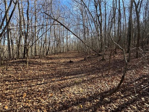 TBD 001 Plumlee Rd, Compton, AR, 72611 | Card Image