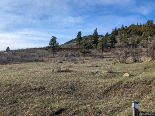 21814 Shady Ln, Idledale, CO, 80453 | Card Image