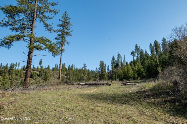 262 North Side Road, Home with 0 bedrooms, 0 bathrooms and null parking in Calder ID | Image 48