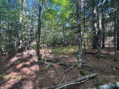 41 Hampshire Hill Rd, Worcester, VT, 05682-8902 | Card Image