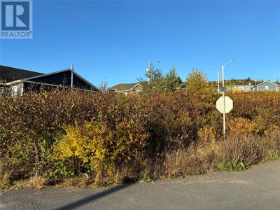 53 Badcock Blvd, Home with 0 bedrooms, 0 bathrooms and null parking in Bay Roberts NL | Image 1