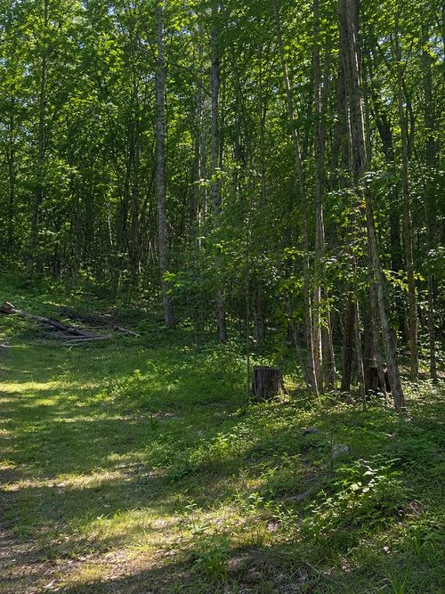 TBD Birch Curve Rd, Randall, MN, 56475 | Card Image