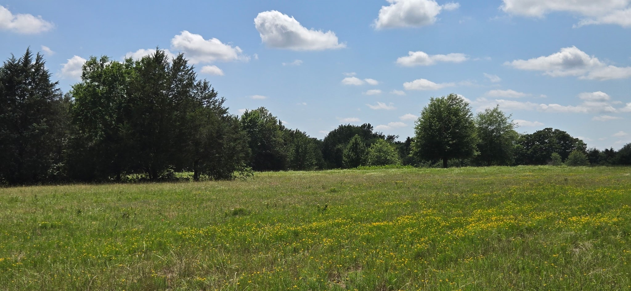 Land in Malakoff 5