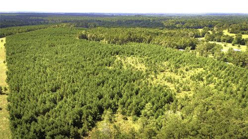 TBD Stutts Hill Rd, Livingston, TX, 77351 | Card Image