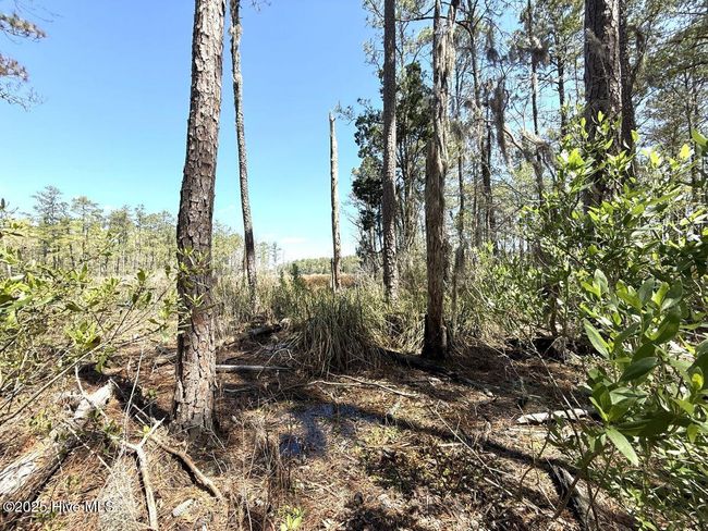 18 Davis Ln, Home with 0 bedrooms, 0 bathrooms and null parking in Belhaven NC | Image 16