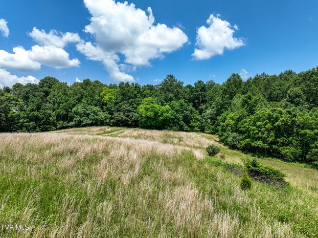 133 Devault Bridge Rd, Home with 0 bedrooms, 0 bathrooms and null parking in Piney Flats TN | Image 8