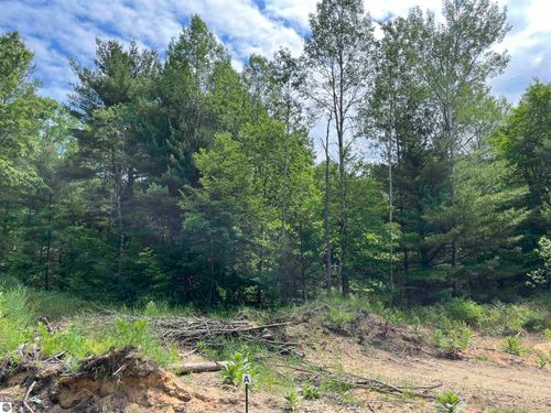 parcel A Hoosier Flats Road, Traverse City, MI, 49685 | Card Image