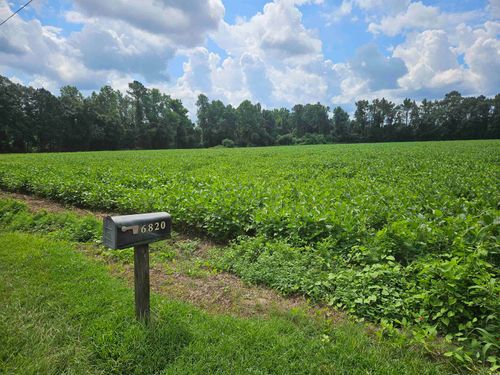 36 Black Creek Rd., Nichols, SC, 29581 | Card Image