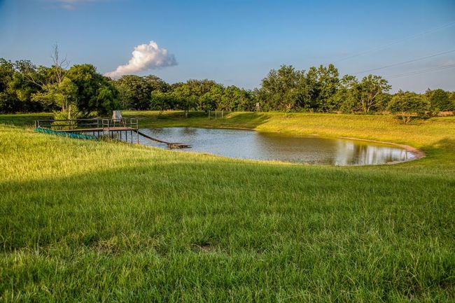 1100 Dittmar Rd, Home with 3 bedrooms, 3 bathrooms and 2 parking in Cat Spring TX | Image 6