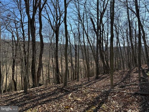 50 N River Mills Rd, CAPON BRIDGE, WV, 26711 | Card Image