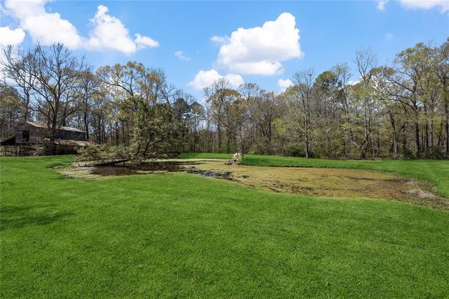 Pond | Image 39