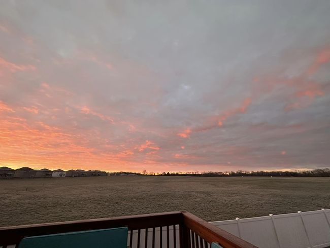 Amazing sunset views and deer spotting | Image 4
