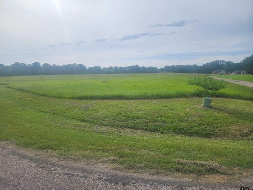 TBD County Road 2136, Pittsburg, TX, 75686 | Card Image