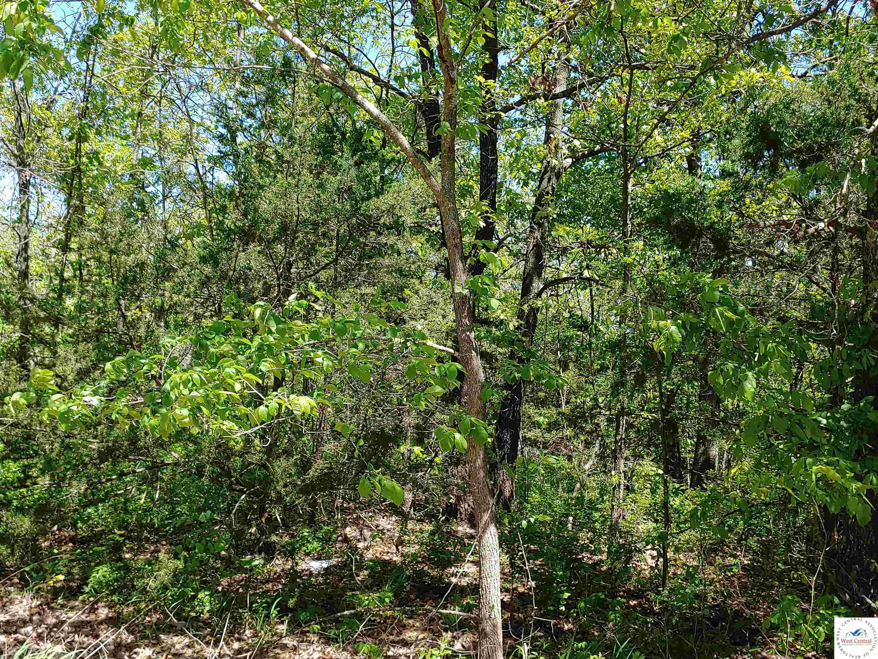 Land in Hermitage 2