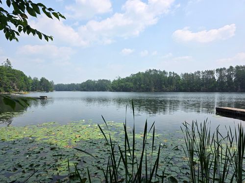 W2597 E Hollister Rd, White Lake, WI, 54491-9533 | Card Image