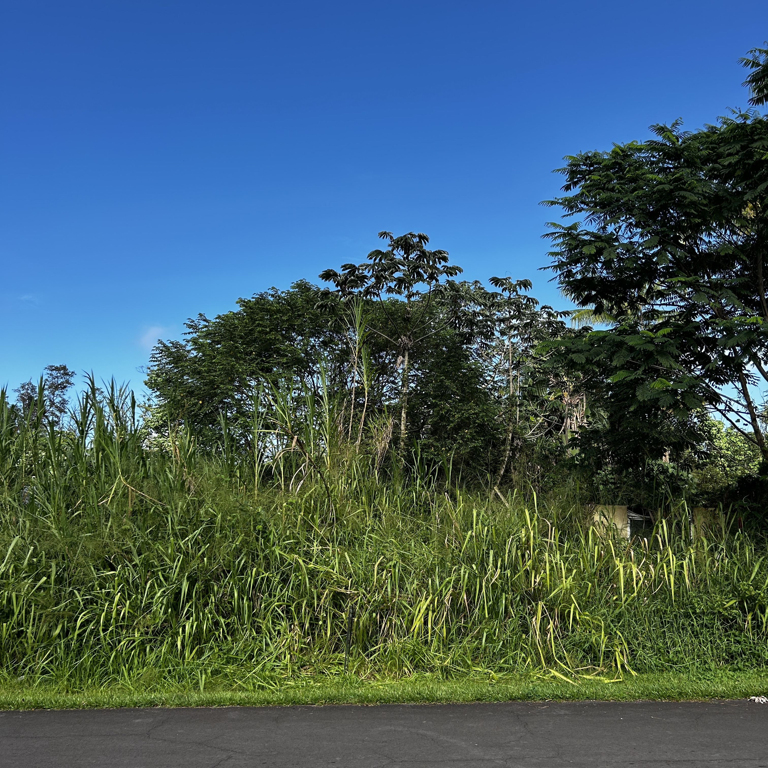 Land in Pahoa 5
