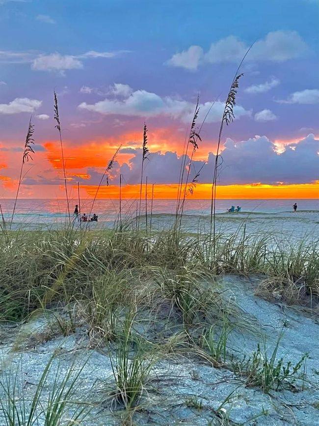 42 - 3183 Windrush Bourne, House other with 2 bedrooms, 2 bathrooms and null parking in SARASOTA FL | Image 53