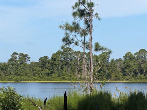 TBD Malauka Radial Cir, OCKLAWAHA, FL, 32179 | Card Image
