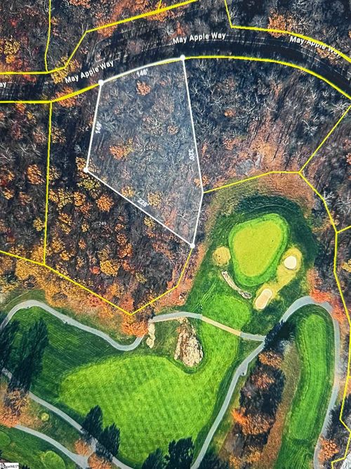 245 May Apple Way, Landrum, SC, 29356 | Card Image