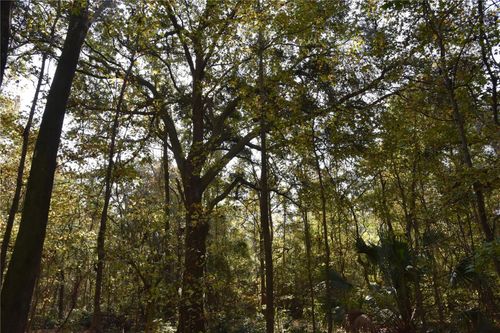 1220 Se Us Highway 301, Hawthorne, FL, 32640-3364 | Card Image