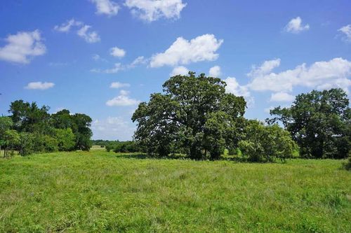 50 County Road 419, Navasota, TX, 77868 | Card Image
