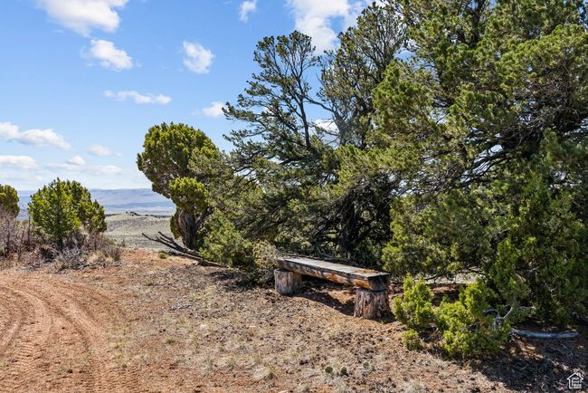 bench on middle ridge | Image 62
