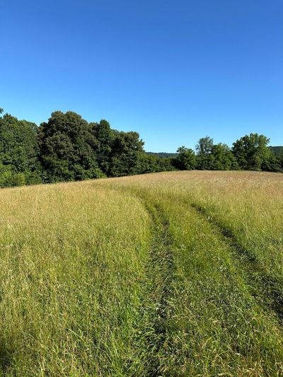 00 Williams (42 Acres) Road, Home with 0 bedrooms, 0 bathrooms and null parking in Surgoinsville TN | Image 3