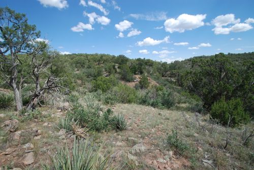 9 Escondida, Sandia Park, NM, 87047 | Card Image