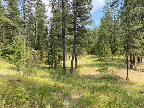 XXXXX E Elk-Chattaroy Rd, Elk, WA, 99009 | Card Image