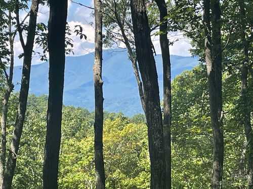 107-Lt 107 Boar Ridge Rd, Sylva, NC, 28779-4818 | Card Image