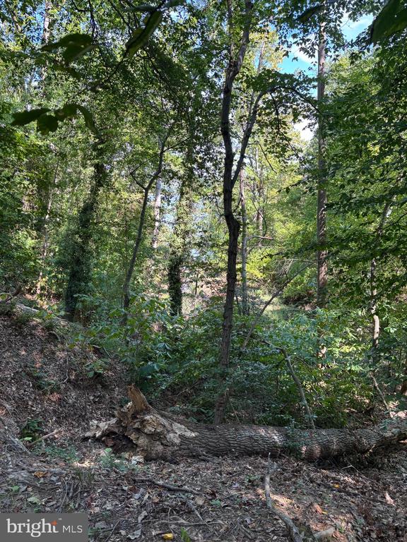Land in FORT WASHINGTON 2