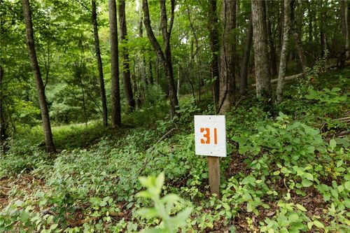 TBD Mcintosh Drive, Lowgap, NC, 27024 | Card Image
