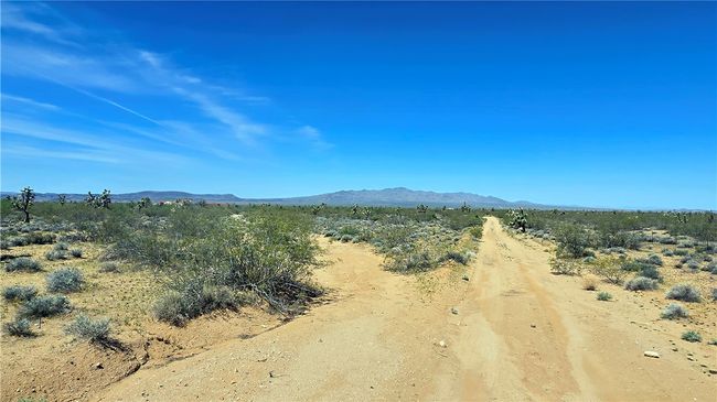 View | Image 46