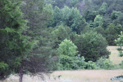 30 Ac Us Highway 11, Valley Head, AL, 35989 | Card Image