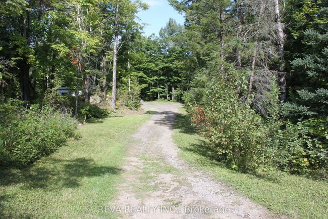1173 Fortesque Lake Rd, Home with 0 bedrooms, 0 bathrooms and 5 parking in Gooderham ON | Image 5