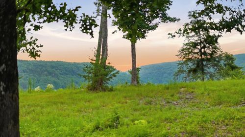 0 Worley Rd, Soddy Daisy, TN, 37379 | Card Image