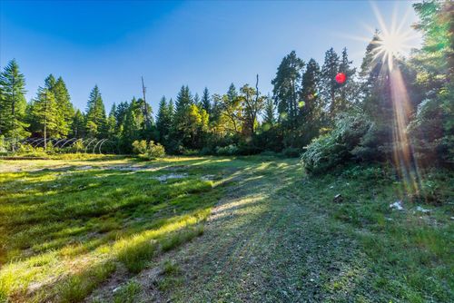 000 Bluff Creek Trail Road, Orleans, CA, 95556 | Card Image