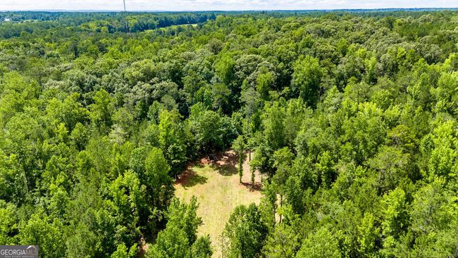 0 John Lovelace Rd, Home with 0 bedrooms, 0 bathrooms and null parking in LAGRANGE GA | Image 9