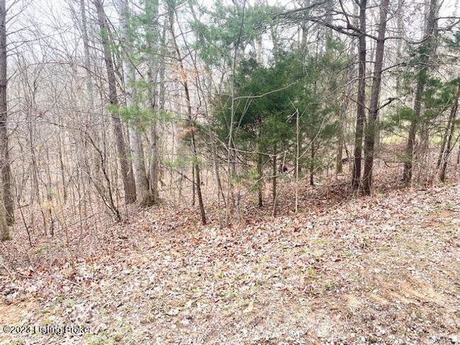 0 Sleepy Hollow Cir, Home with 0 bedrooms, 0 bathrooms and null parking in Clarkson KY | Image 4