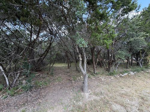 180 Rosenberry, Bulverde, TX, 78163-1783 | Card Image