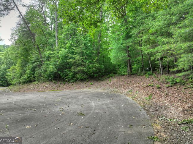 LTS 5, 6, 7 Mountain Springs Rd, Home with 0 bedrooms, 0 bathrooms and null parking in Ellijay GA | Image 19