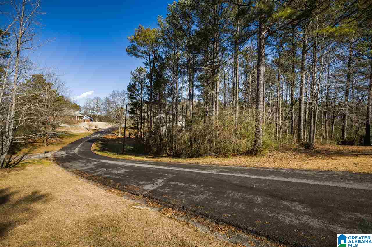 Land in ONEONTA 4
